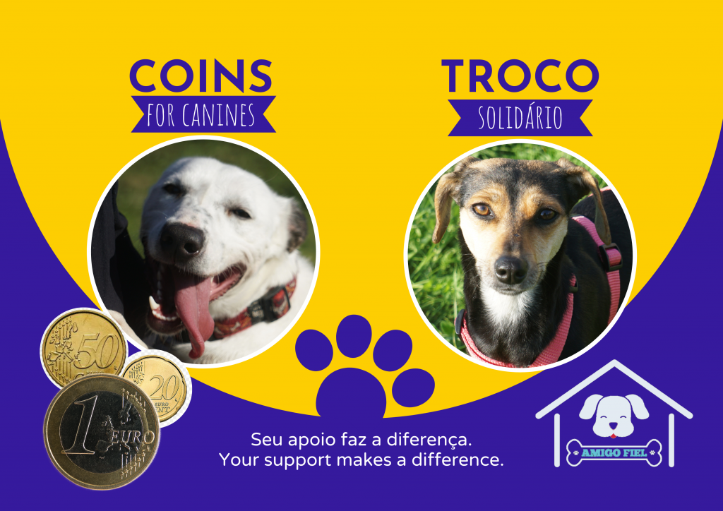 coins for canines 3