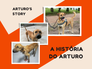 Arturo’s Story