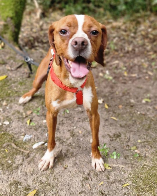 in shelter since 2022