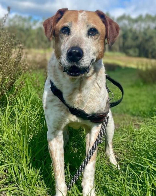 in shelter since 2022