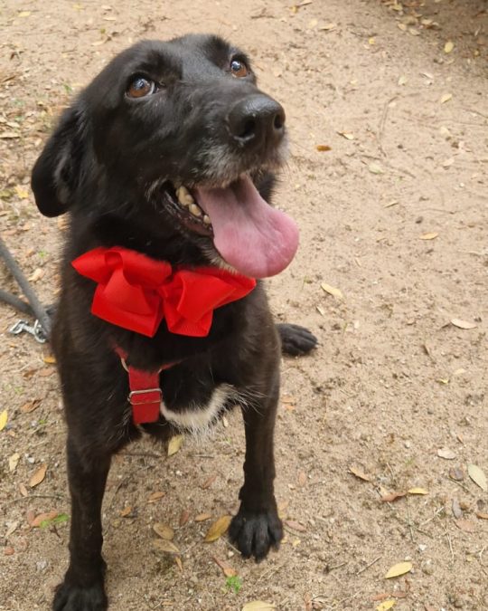 in shelter since 2022